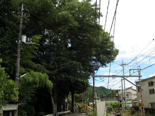 宮ノ平踏切