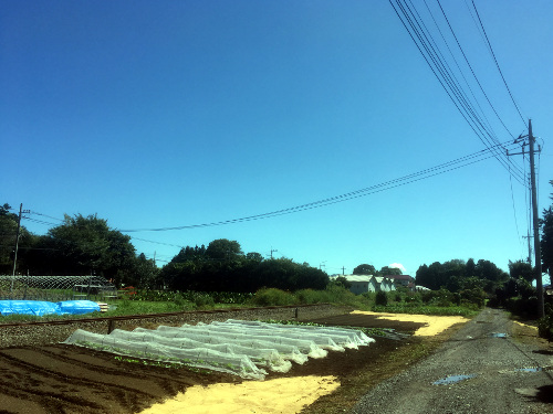 大和田踏切の近く