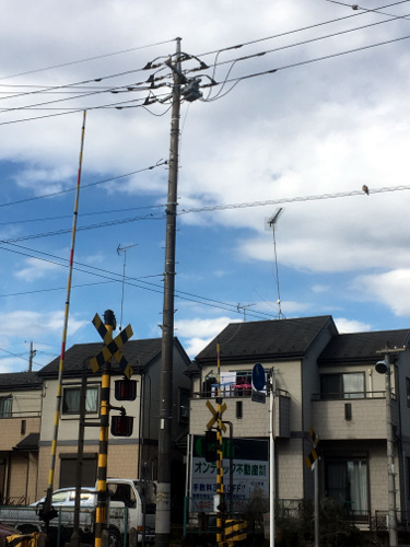 砂川街道踏切