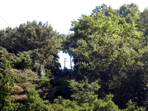 橋場踏切