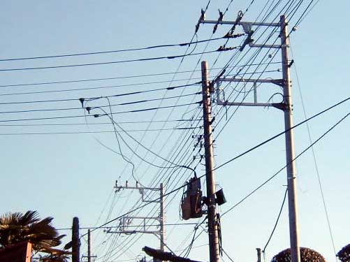 高圧配電線を移設